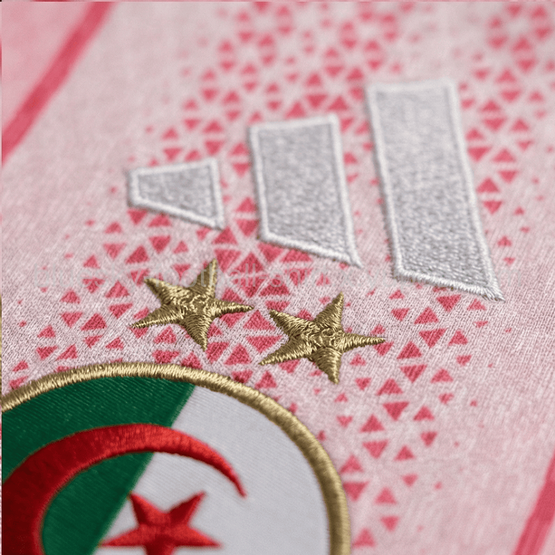 Algérie Pré-match Fan Coupe du monde vue 23