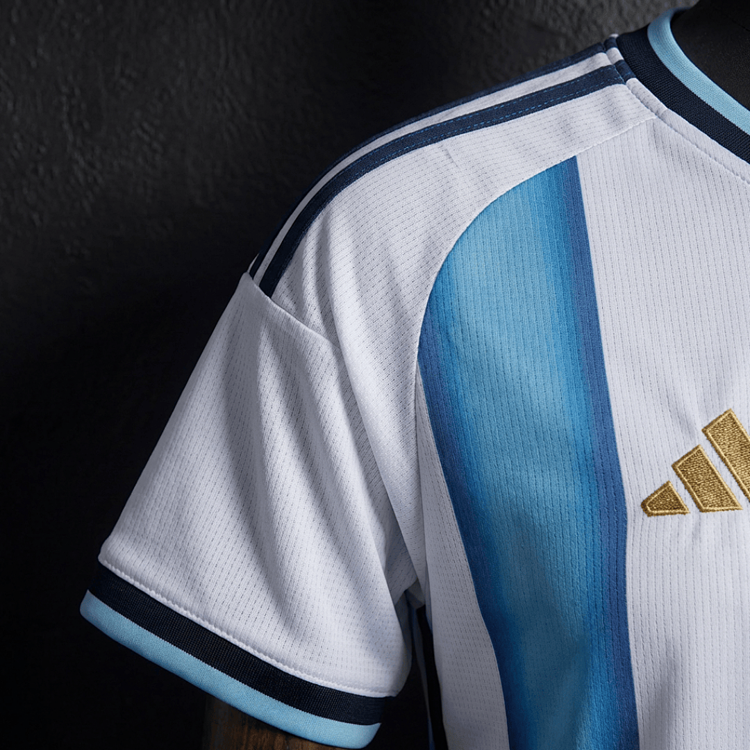 Argentine Domicile Fan Coupe du monde vue 6