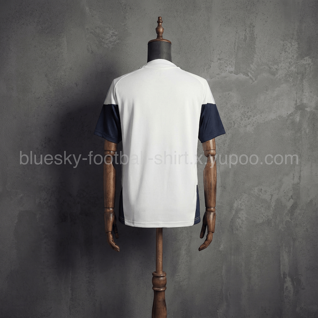 Argentine Training Fan Coupe du monde vue 6