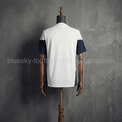 Argentine Training Fan Coupe du monde vue 6