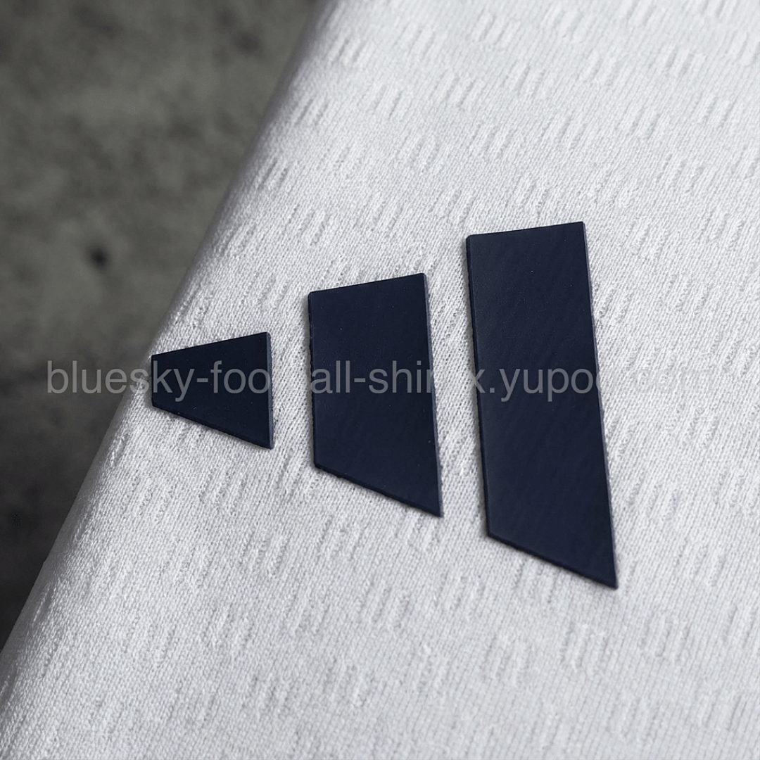 Argentine Training Fan Coupe du monde vue 7