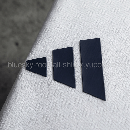 Argentine Training Fan Coupe du monde vue 7