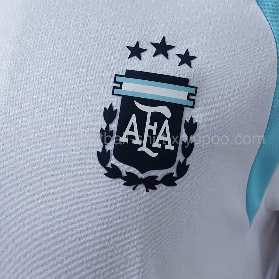 Argentine Training Fan Coupe du monde vue 8