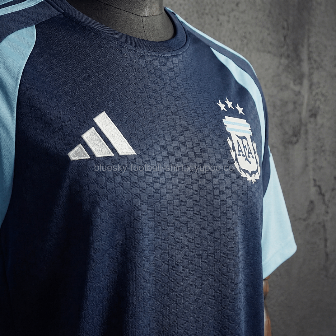 Argentine Training Fan Coupe du monde vue 30