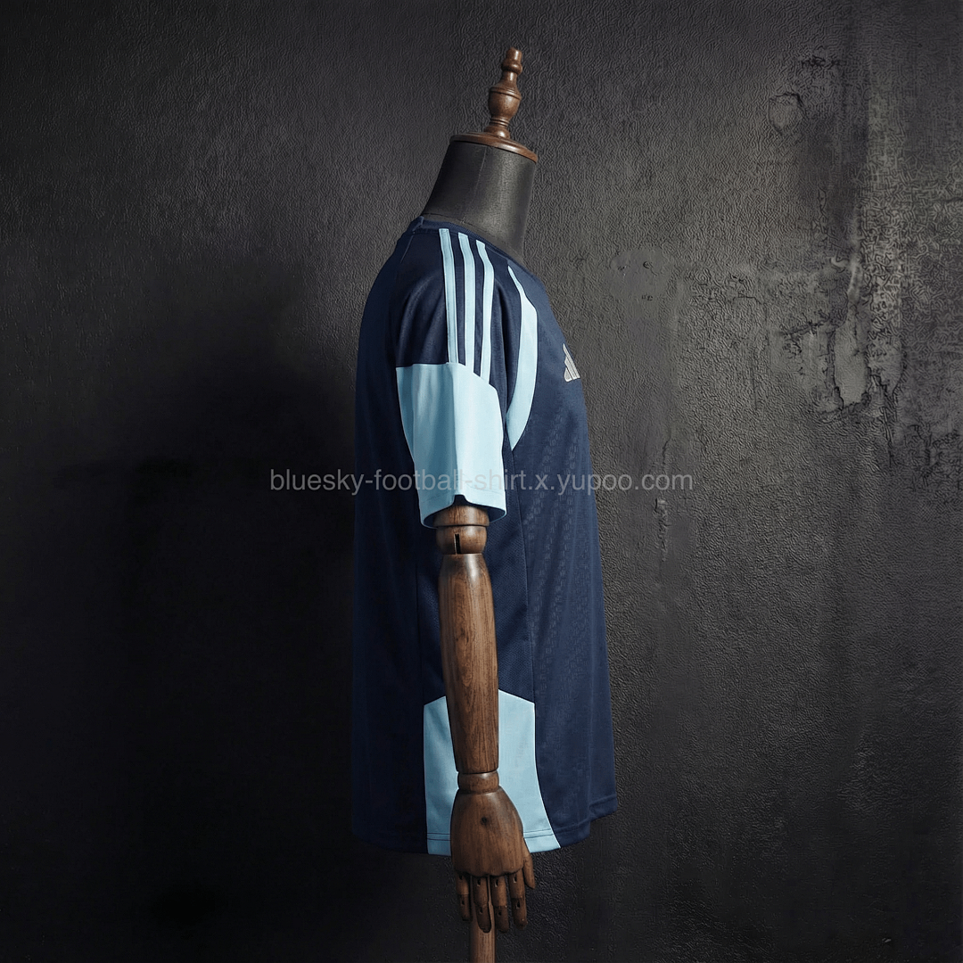 Argentine Training Fan Coupe du monde vue 13