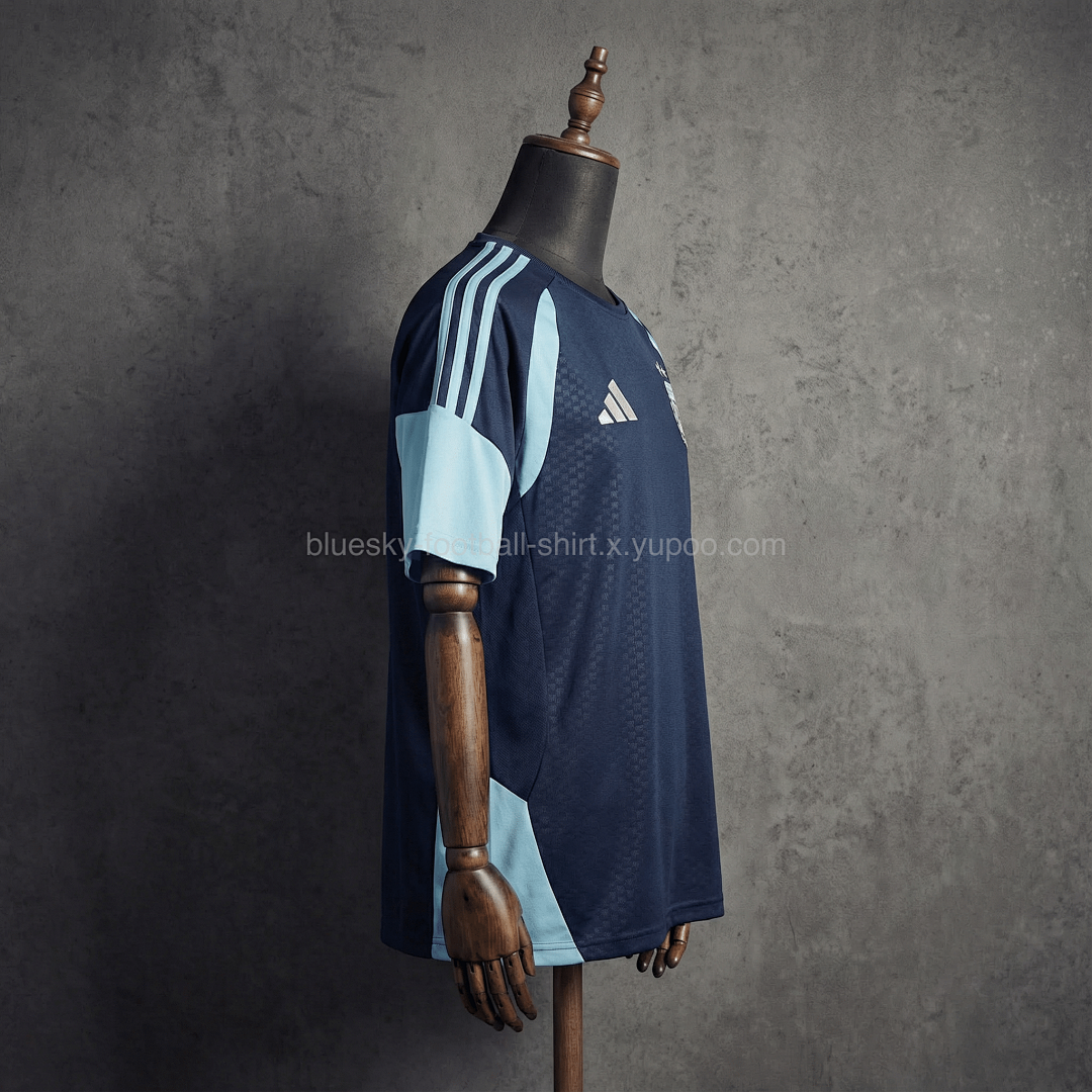 Argentine Training Fan Coupe du monde vue 14