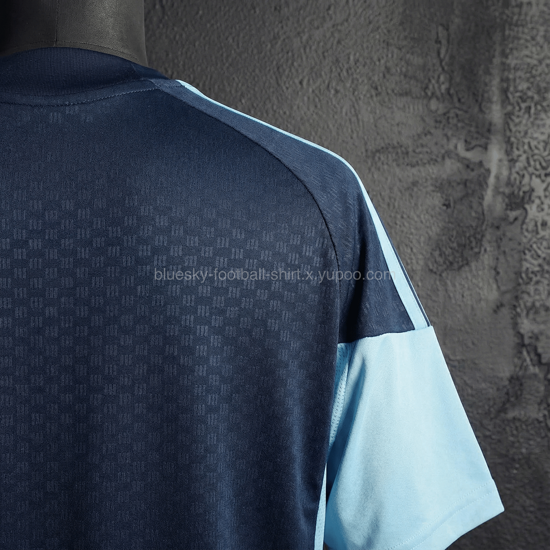 Argentine Training Fan Coupe du monde vue 15