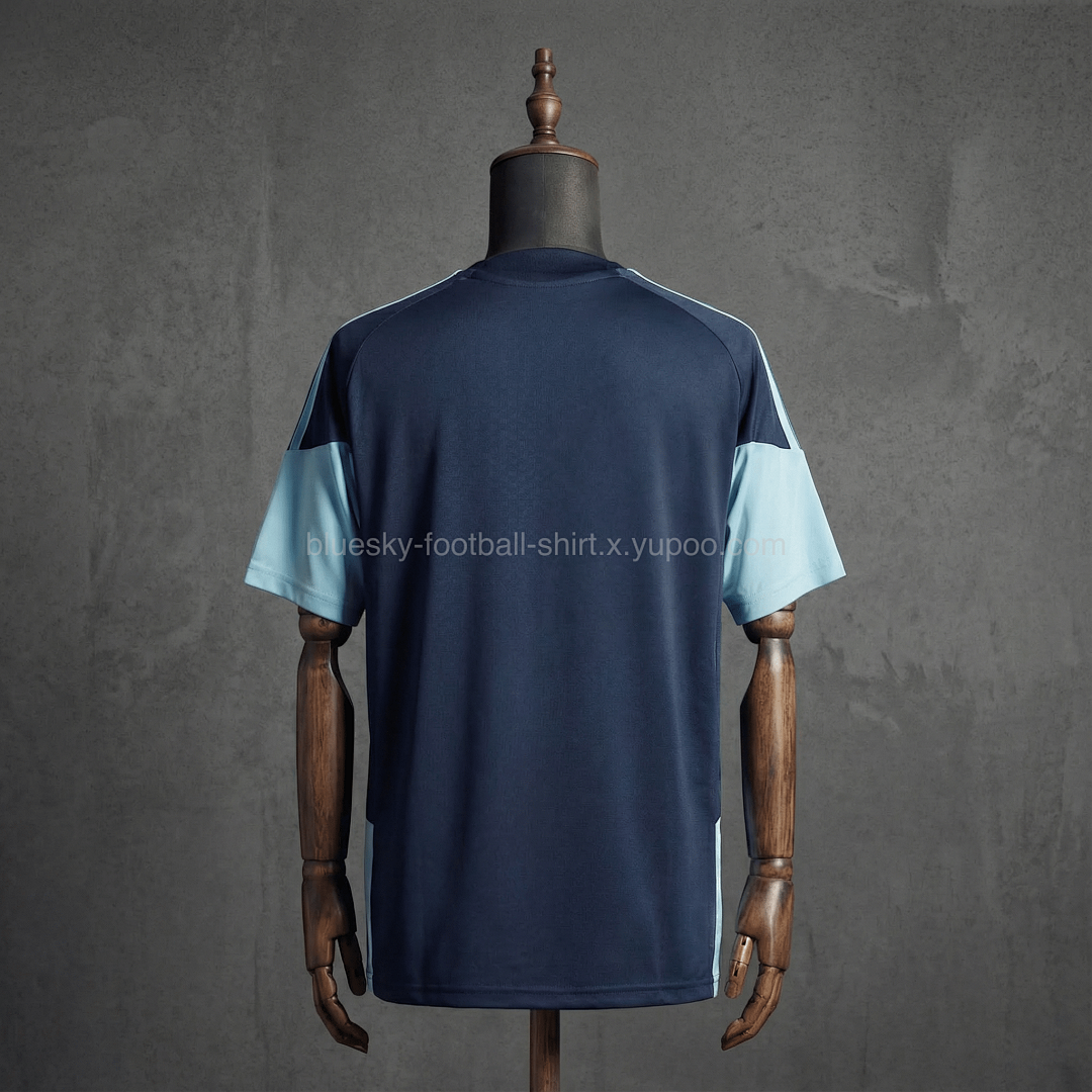 Argentine Training Fan Coupe du monde vue 17