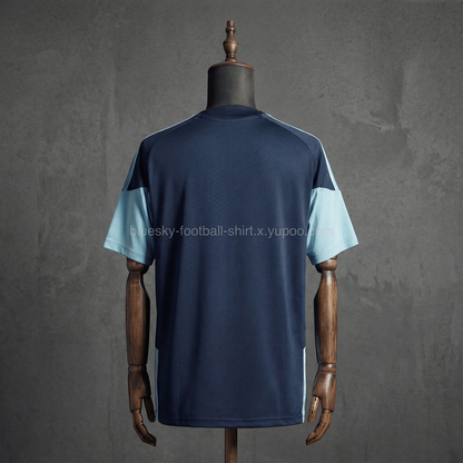 Argentine Training Fan Coupe du monde vue 17