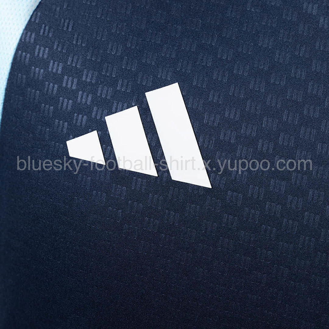 Argentine Training Fan Coupe du monde vue 18