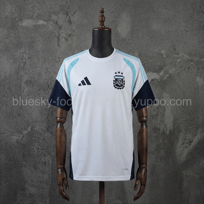 Argentine Training Fan Coupe du monde vue 27