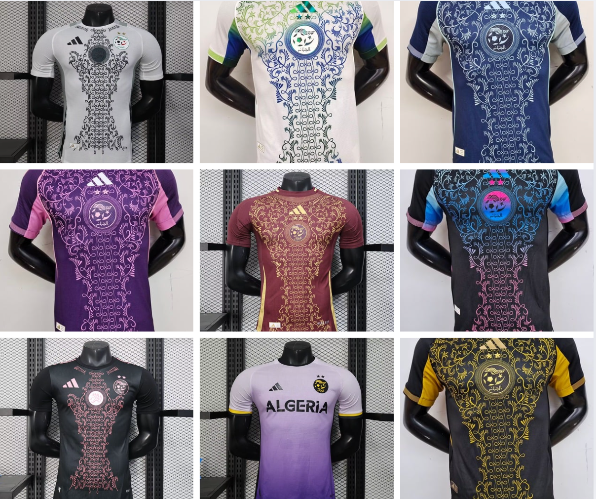 Algérie magnifique concept Player