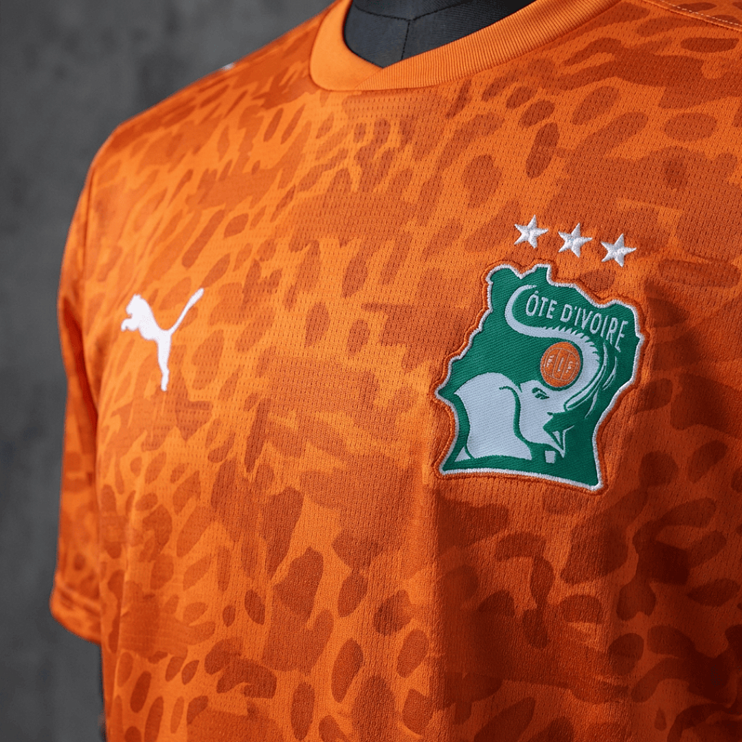 Côte d'Ivoire Domicile Fan Coupe du monde taille L
