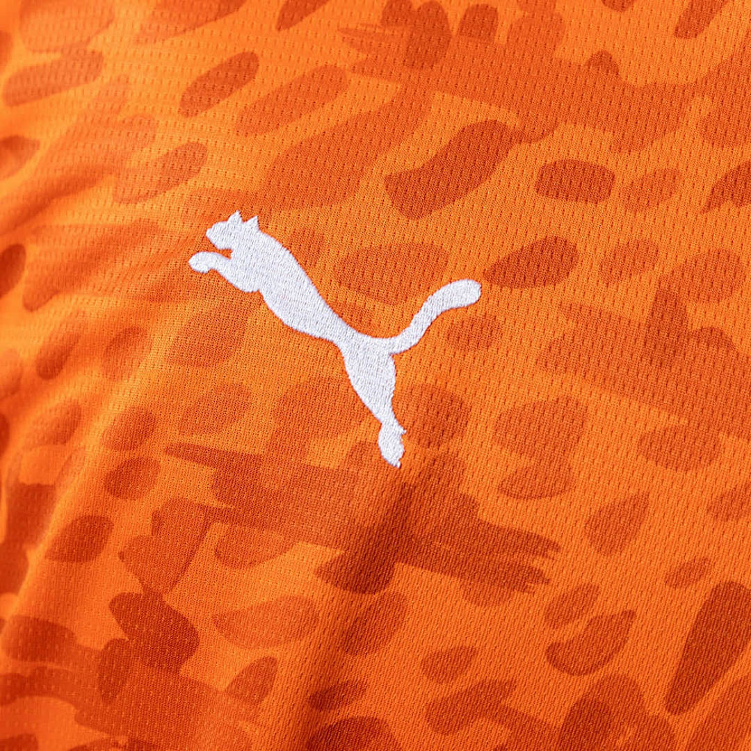 Côte d'Ivoire Domicile Fan Coupe du monde vue 7