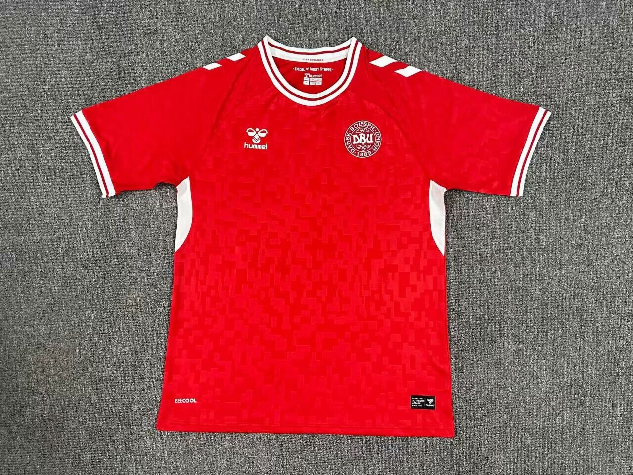 Denmark Home Fans 24