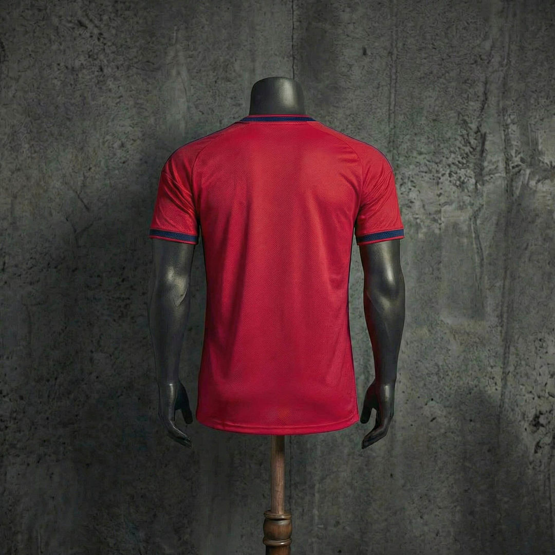 Espagne Édition spéciale Player Coupe du monde vue 7