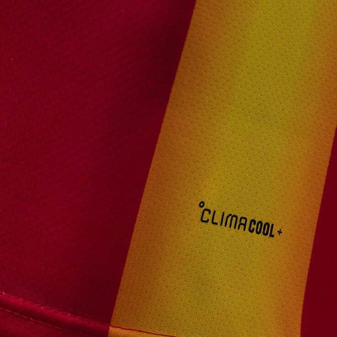 Espagne Édition spéciale Player Coupe du monde vue 8