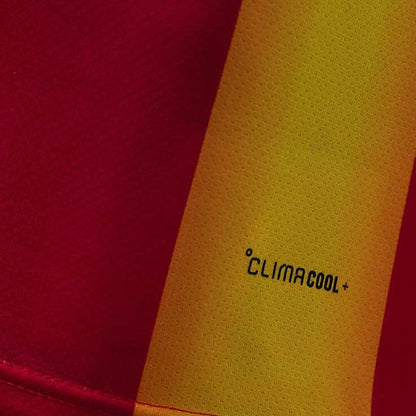 Espagne Édition spéciale Player Coupe du monde vue 8