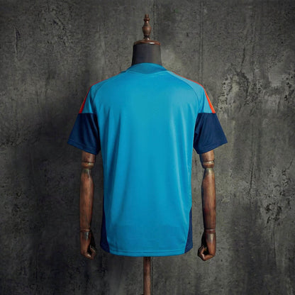 Espagne Training Fan Coupe du monde taille M