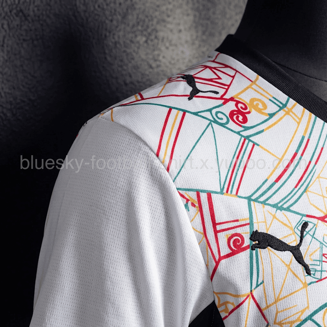 Ghana Domicile Fan Coupe du monde vue 9