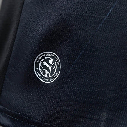 Ghana Domicile Fan Coupe du monde vue 11