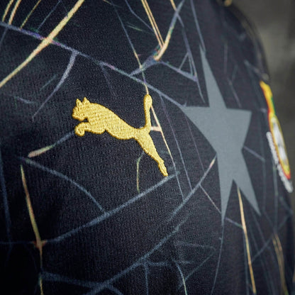 Ghana Domicile Fan Coupe du monde vue 14