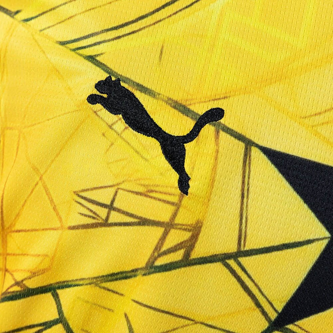 Ghana Extérieur Fan Coupe du monde vue 8