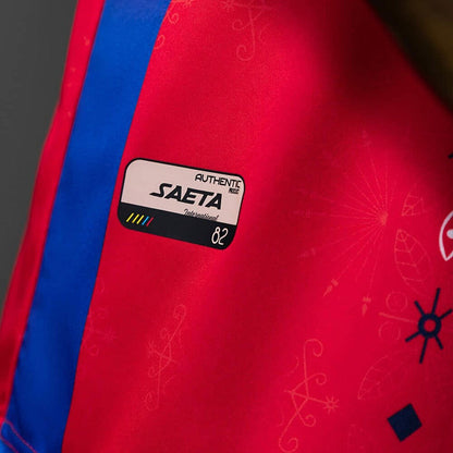 Haïti Third Fan Coupe du monde vue 7