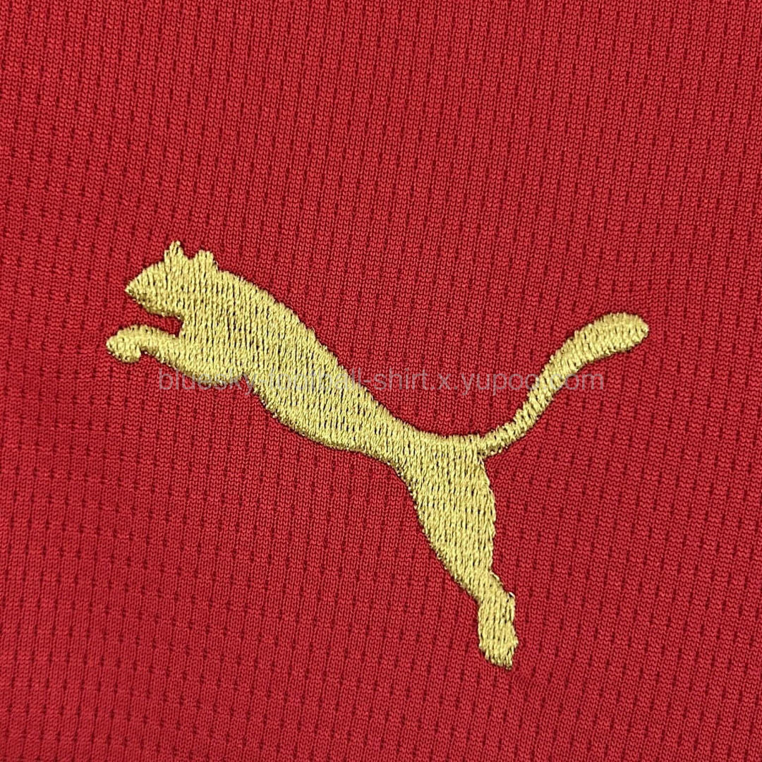 Maroc Domicile Fan Coupe du monde vue 7