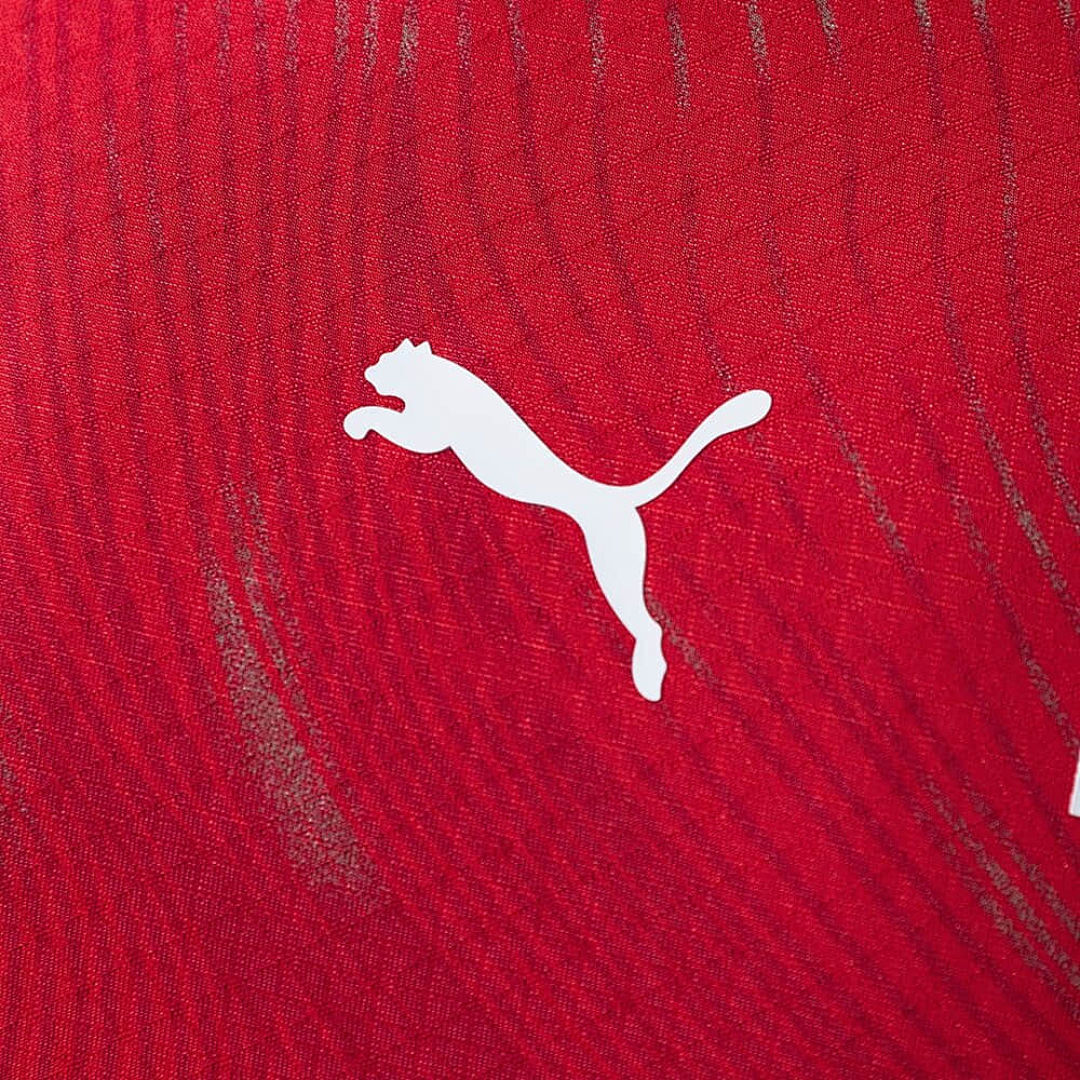 Suisse Domicile Player Coupe du monde vue 6