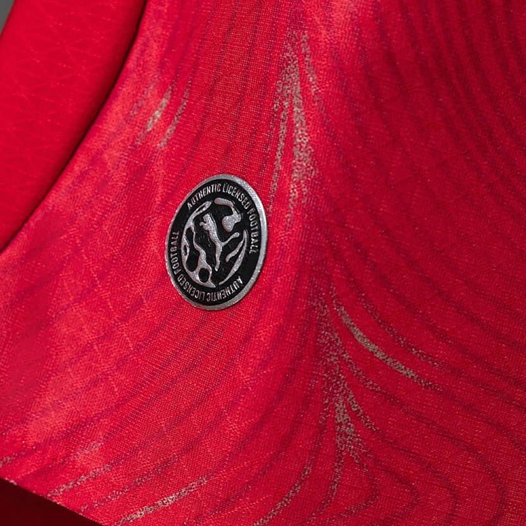 Suisse Domicile Player Coupe du monde vue 9