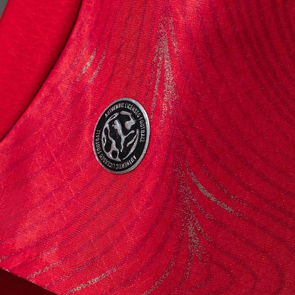 Suisse Domicile Player Coupe du monde vue 9